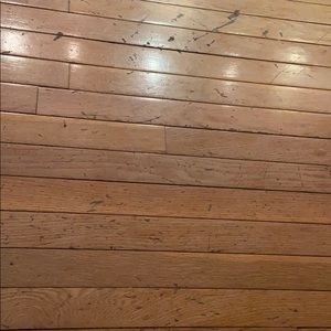 Meet your Posher, Ellen